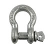 1/2" Screw Pin Anchor Shackle (Galvanized) 